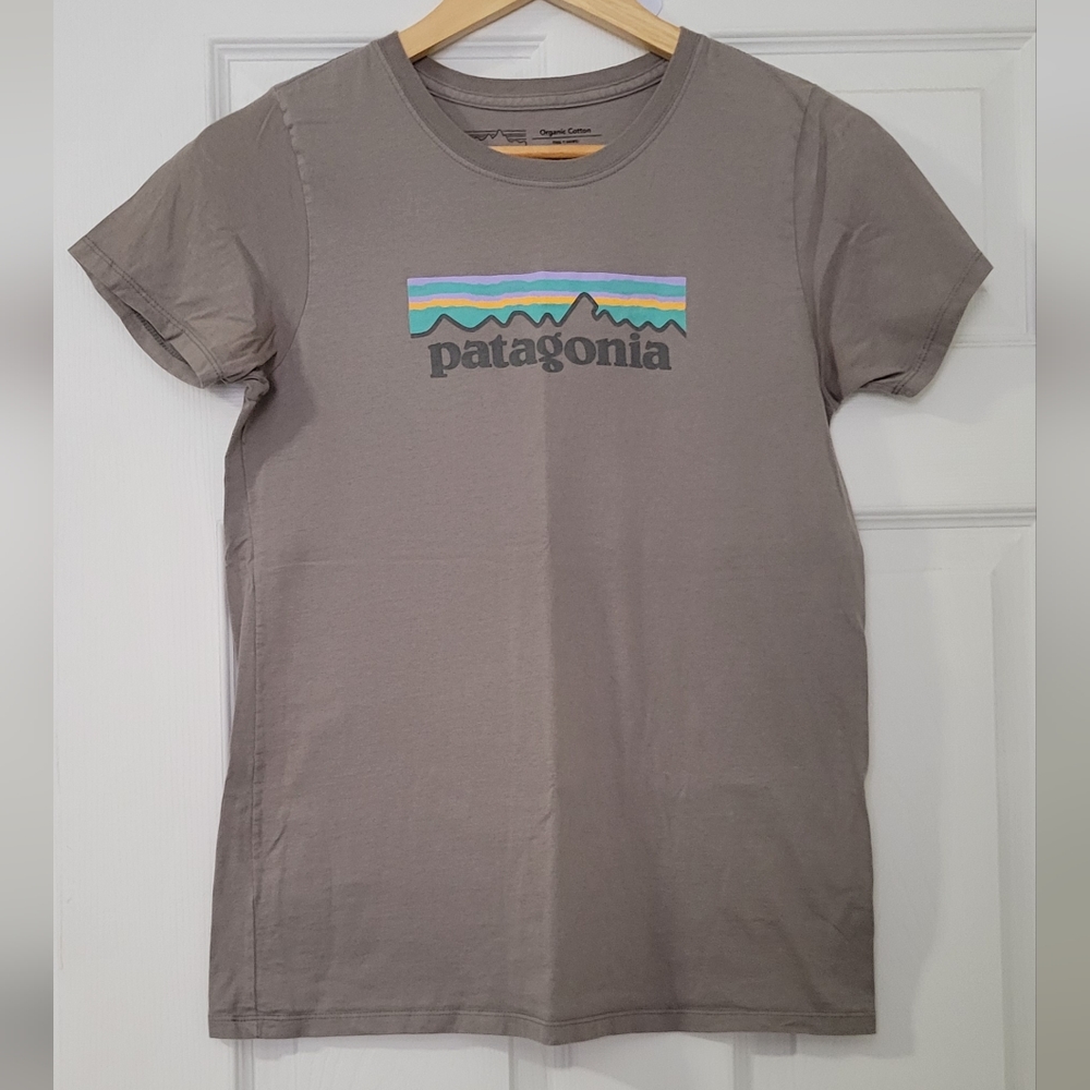 Patagonia tshirt